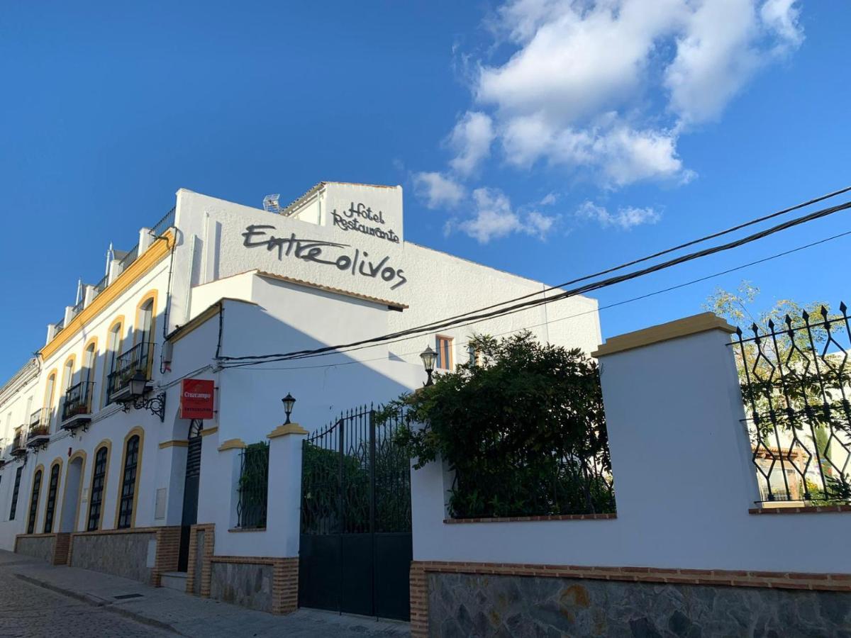 Hotel Entreolivos เอลเปโดรโซ ภายนอก รูปภาพ